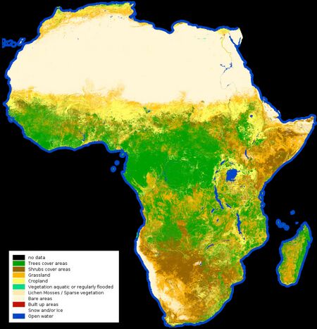 Map of Africa with land cover mapped as a 20 meter resolution, as originally published by the European Space Agency in 2017. Land cover across Africa can be broken into three primary bands: bare areas, largely in the northern third representing the Sahara Desert; tree cover, which stretches across central Africa along the equator; and shrub cover, which is prominent in the southern Africa and along the Horn. Where these areas meet, grasslands and cropland are common.